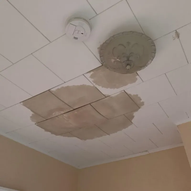 Ceiling Water Damage Repair in Franklin, TX