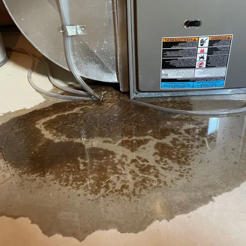 Pipe Burst and Leak Restoration in Franklin, TX