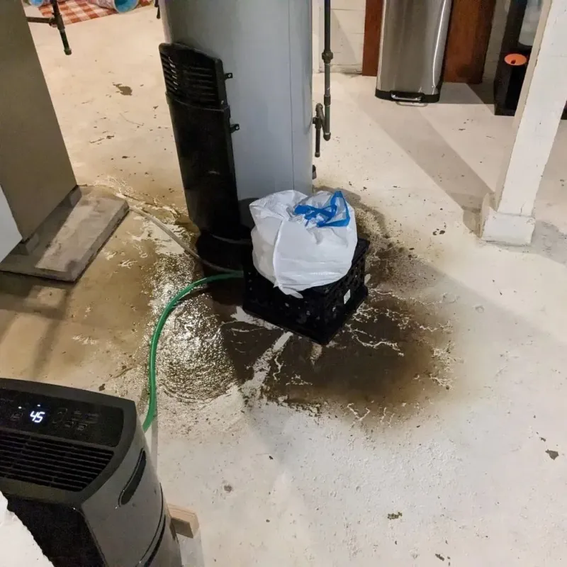 Sewage Backup Cleanup Service in Franklin, TX